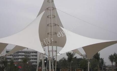 12太阳猪：单枪匹马14天扭亏为盈33天创造千万价值