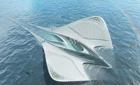 25未来猪：运用最佳资源配置一年不到拥有千万身家的实战案例