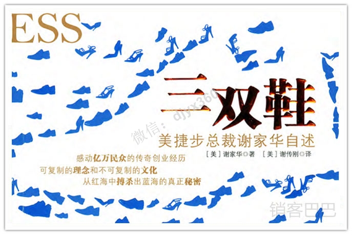 三双鞋谢家华pdf电子书下载，美捷步总裁自述，从红海搏杀出蓝海的秘密