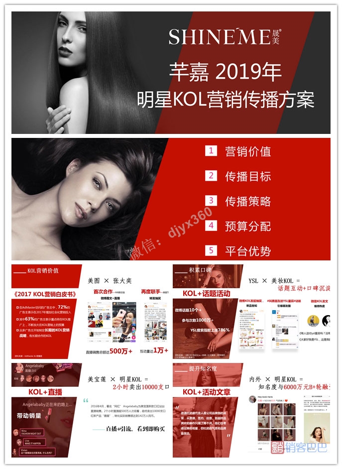2019立白营销策划方案，芊嘉明星kol营销成功案例
