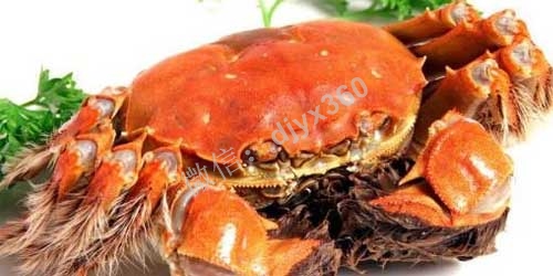 大闸蟹店的顶级会员卡方案