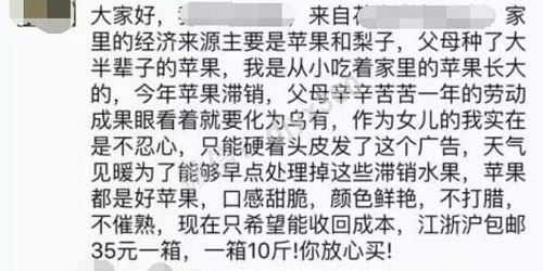 苹果滞销怎么办？微信上写个自我介绍文案即可！