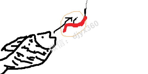 鱼钩、鱼饵、鱼塘理论设计最详细的流程！