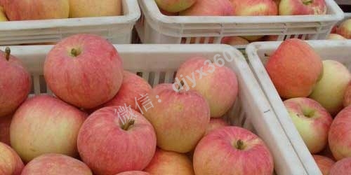 1招巧妙策略 就把一卡车苹果销售一空