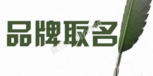 品牌起名商标起名的13条思考！