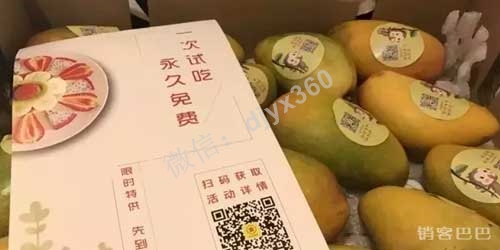 水果免费模式案例，借力高端消费人群吸引留量！