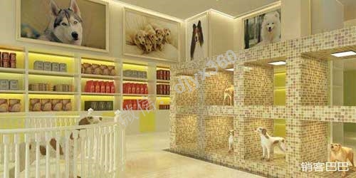 宠物店怎么经营？宠物免费送模式，锁定用户后端自动收入