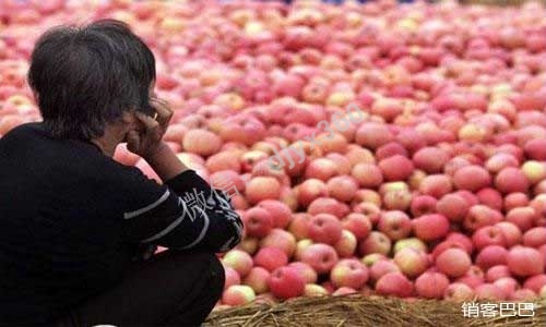 滞销品处理方案，驾校帮果农卖滞销苹果，快速获得大量用户