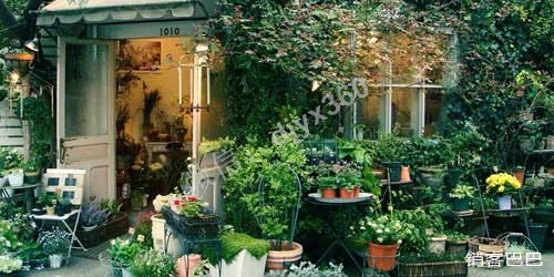 花店经营技巧：花店如何玩转跨界营销，让用户轻松消费你的跨界产品！