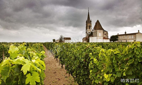 什么是好的商业模式？酒庄改变商业模式提前赚到3年的钱