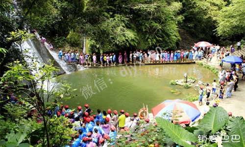 景区免费模式案例，终身免费吃喝玩，如何用最低的成本吸引大量客户