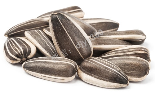 新品牌瓜子定位案例