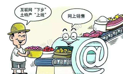 农产品电商营销模式，如何整合当地农民、政府资源，带动农产品的销售