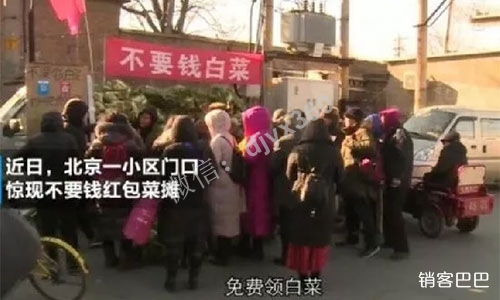 大白菜免费送案例，产品如何免费送还赚钱，让第三买单的商业模式