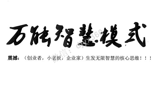 万能智慧模式pdf电子书，无数创业者、企业家生发无限智慧的核心思维