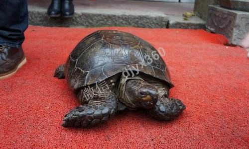 餐饮营销方案，让他2年赚了500万，这五个经营秘诀你也能学会