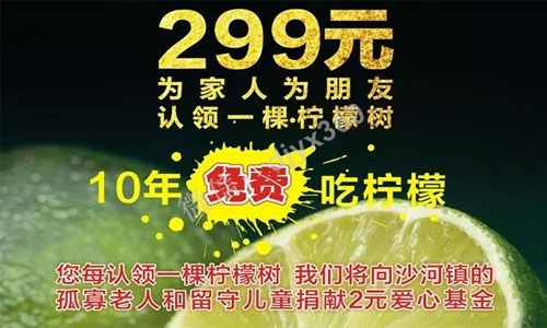 农业免费模式案例，299元免费吃10年柠檬，3个月收款700万